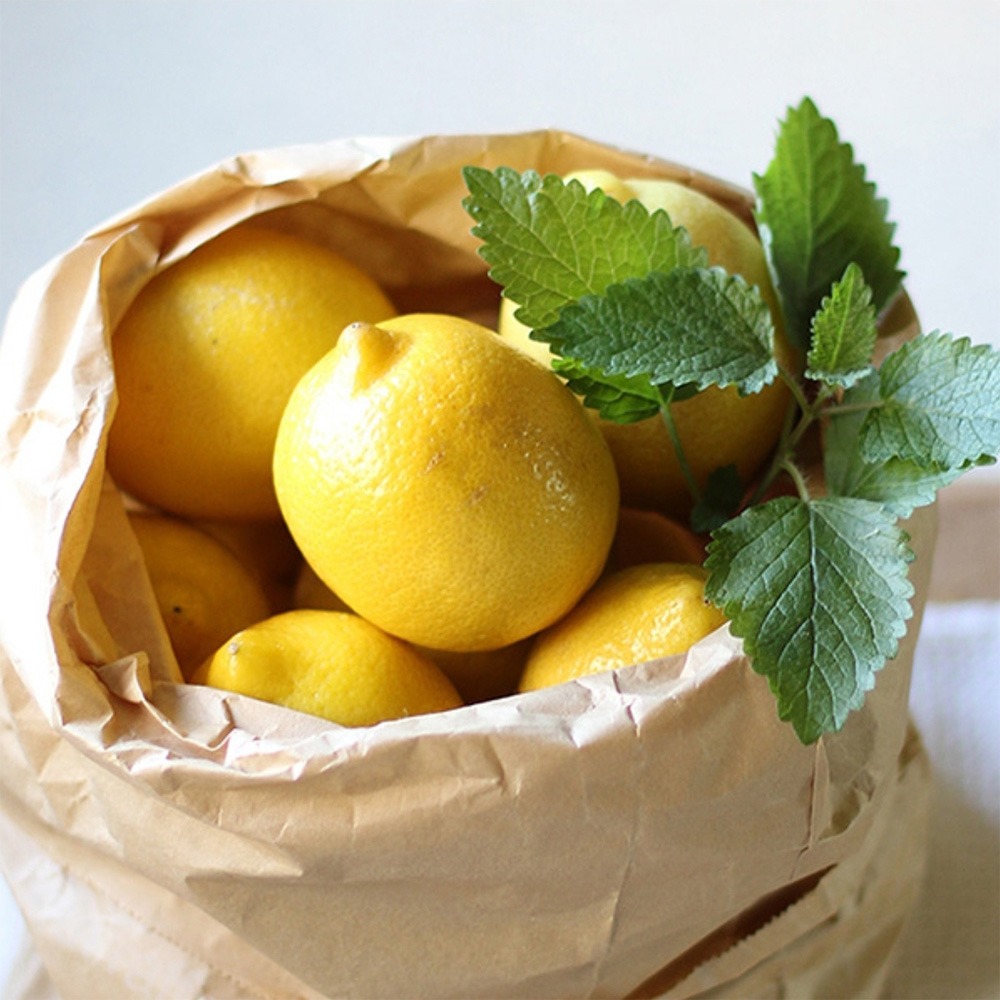 직수입 미국 썬키스트 레몬
